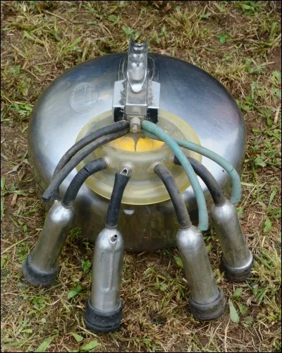 Pour finir revenons vers les animaux. Cette machine vous permettra...