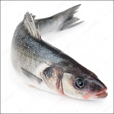 Le blanc est très connu, c'est le...