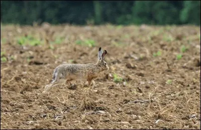 On ne le trouve pas sur la carte, c'est le ...