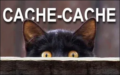 Aimez-vous vous faire discret quand il y a beaucoup de monde ?