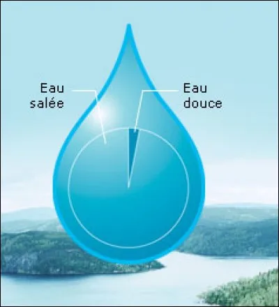 Combien de grammes de sel y a-t-il en moyenne par litre d'eau de mer ?