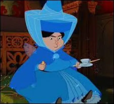 Comment s'appelle la fée bleue qui protège notre héroïne ?