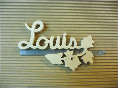 Que raconter sur Louis ?