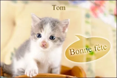Que pensez-vous de Tom ?