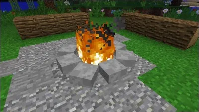 Quel bloc peut brûler ?