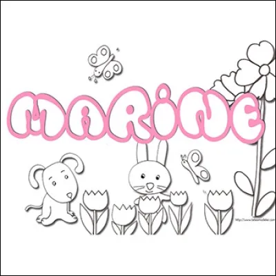 Que dire de Marine ?