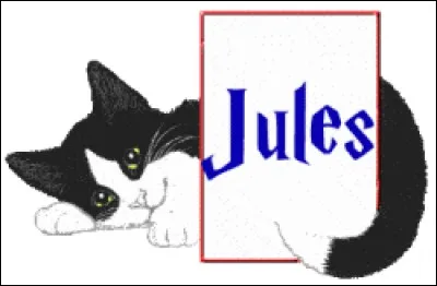 Que dire de Jules ?