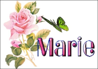 Que pensez-vous de Marie ?