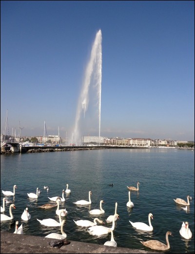 Commençons par nous arrêter à Genève, la grande ville du lac, célèbre pour son jet d'eau. Mais savez-vous à quelle vitesse l'eau est éjectée du sol pour culminer à 140 mètres de hauteur ?