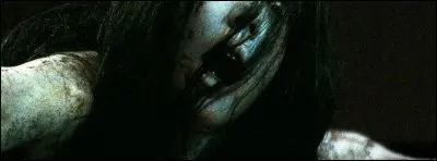 Quel écrivain publie des romans qui font froid dans le dos ?