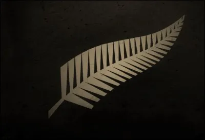 Comment se nomme l'équipe de rugby de Nouvelle-Zélande ?