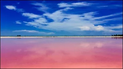 Quelle romancière écrivait des romans à l'eau de rose ?