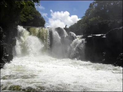 Qui est l'acteur principal, né au 19e siècle, du film 'Boudu sauvé des eaux ' ?