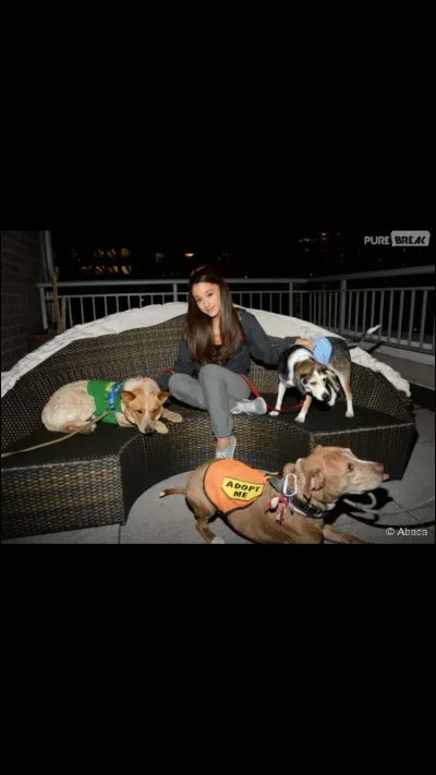 Combien de chiens a-t-elle ?