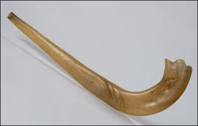 Quel est le nom de cet instrument ?