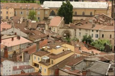 Habitants : 40 819 
Blason : Une croix tréflée sur noir et vert 
Spécialité : Le poulet 
Àvoir : Monastère royal de Brou 
A vu naître : Louise de Savoie 
Quelle est cette ville ?