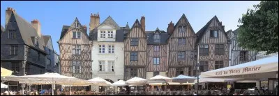 Habitants : 136 252 
Devise : "Les ... apportent leur soutien aux lys" 
Spécialité : Les rillons 
À voir : Le château 
A vu naître : Balzac 
Quelle est cette ville ?