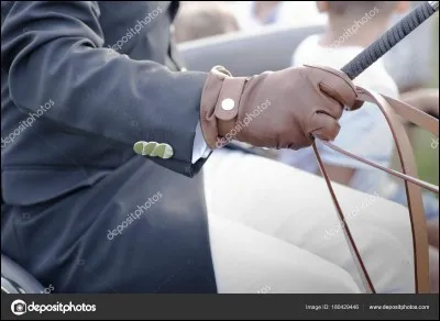 Ce métier vous fait penser à...