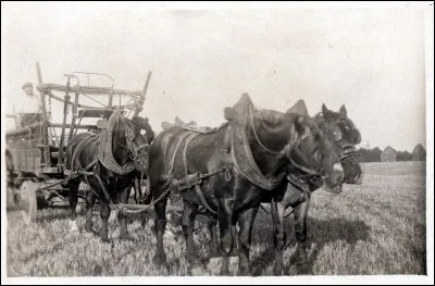 Ce métier vous fait penser à quel auteur ?
