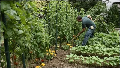 S'il est espagnol, ce métier doit vous faire penser à...