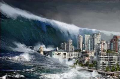 De quelle langue le mot "tsunami" est-il issu ?