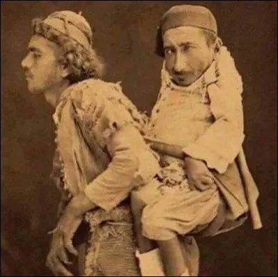 1899, Damas. Mohamed, musulman aveugle, porte sur son dos son ami Samir, chrétien, nain et handicapé. Tous deux orphelins, Mohamed est vendeur ambulant, mais quel est le métier de Samir ?