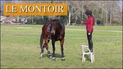 Pour monter sur un cheval on utilise...