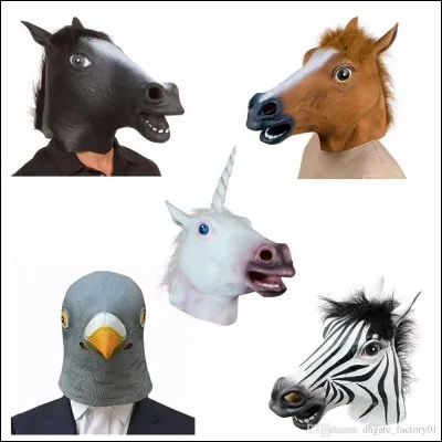 A l'avant du cheval on trouve...