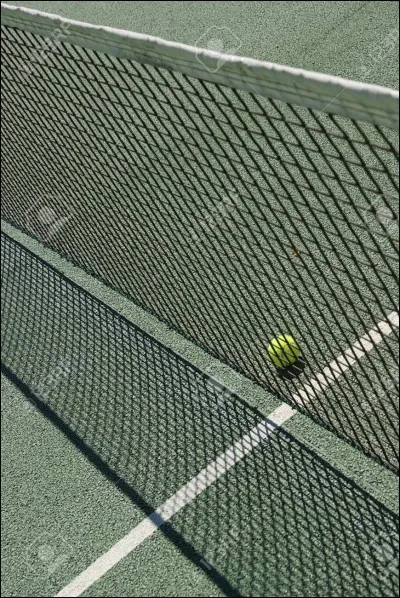 Comment s'appelle le coup où on tape la balle et elle va juste derrière le filet ?