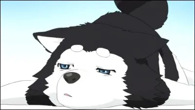 Quel est le num&eacute;ro du chien de Kuroko ?