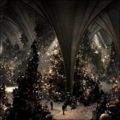 Que représente la tapisserie située en face de la Salle sur Demande?