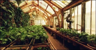 Quelle plante blesse Harry lors de son examen de botanique des BUSE ?