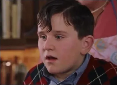 Lesquels de ces surnoms attribués à Dudley Dursley existent réellement dans la saga ?