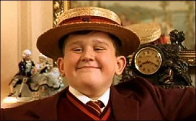 Dans quel établissement Dudley Dursley poursuit-il ses études?