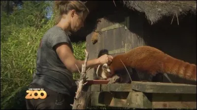 Comment s'appelle-t-elle ?