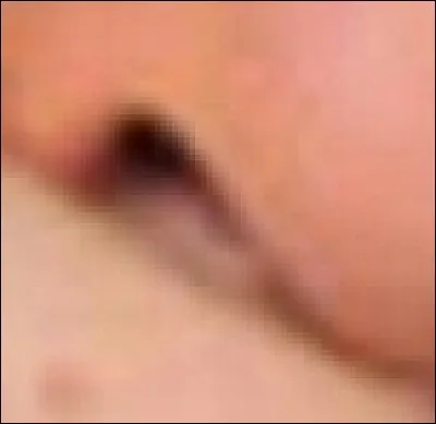 Ces narines sont celles de...