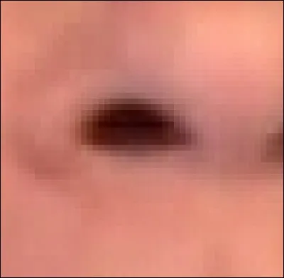 Ces narines sont celles de/du...