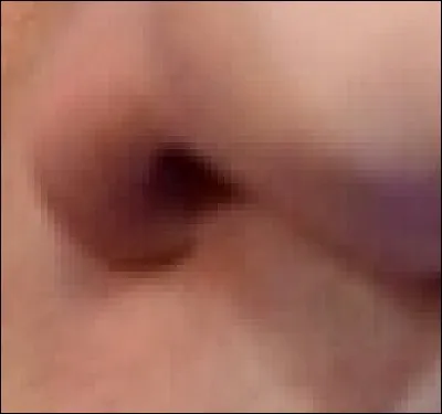 Ces narines sont celles de...