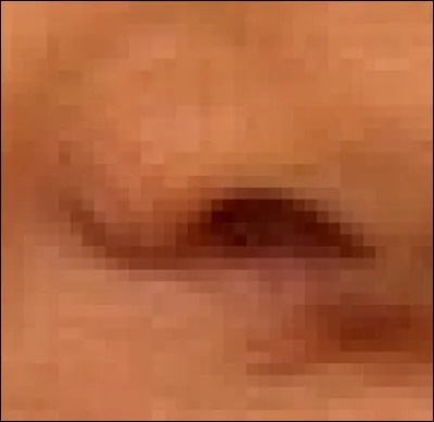 Ces narines sont celles de...