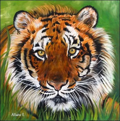 Quel animal préhistorique ressemble le plus à un tigre ?