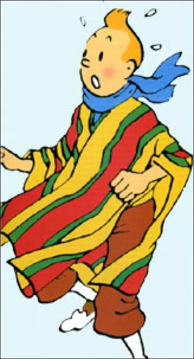Dans quel album Tintin porte-il ce pancho ?