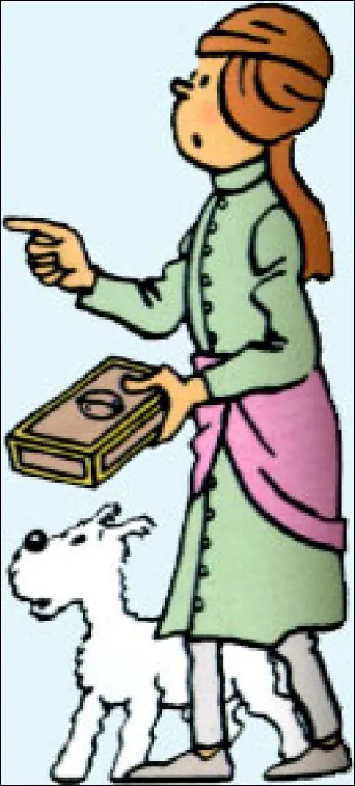 Dans quel album Tintin porte-t-il cette tenue africaine ?