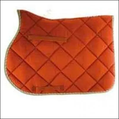 Comment s'appelle ce matériel ?