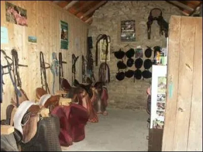 Comment s'appelle cette pièce dans un centre équestre ?