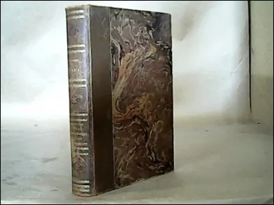 Flaubert est aussi l'auteur du dictionnaire ...