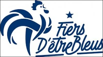 LepetitZebre. Quelle est l'équipe qui a remporté la Coupe du monde 2018 ?