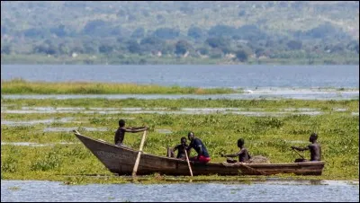 Le pays signifie littéralement « pays des mille collines » - La région des grands lacs - Guerre civile entre ethnies - Le président de la République Paul Kagamé.