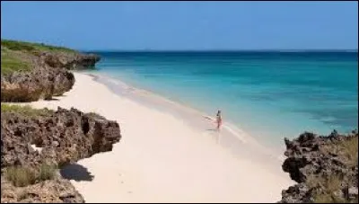 Etat situé sur la côte orientale du continent africain - Le métical est l'unité monétaire de ce pays - Indépendance du Portugal en 1975 - Un pays dont l'économie est majoritairement agricole.