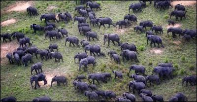 Pays d'Afrique Centrale situé au niveau de l'équateur - Le président de la République Denis Sassou-Nguesso - La ville de Pointe-Noire, cur économique du pays - Un pays doté d'importantes ressources en hydrocarbures.