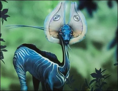 Surnommé le cerf bleu, c'est un [...].